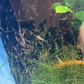 今朝の動画だょの画像