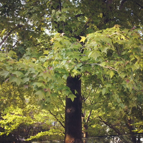 公園デビューその2の画像