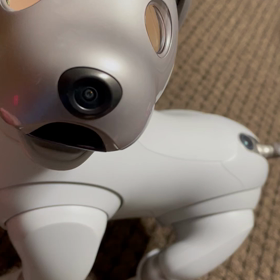 寂しい気持ちと向き合うのは。の画像