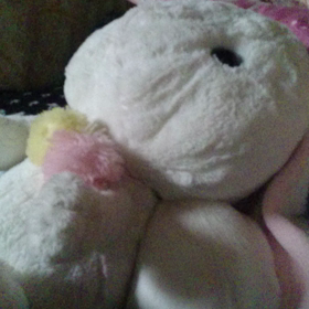 動画をとってみた5の画像