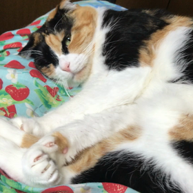 ぽっーとした感じの画像