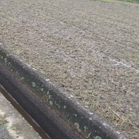 雨上がったから歩く♪の画像