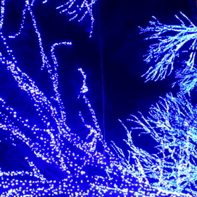 初の動画投稿の画像