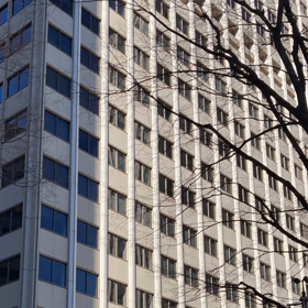 キイハンターの画像