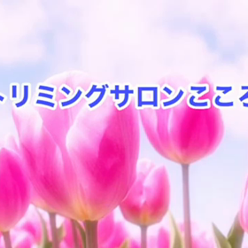 4月　〜スライドショー〜の画像