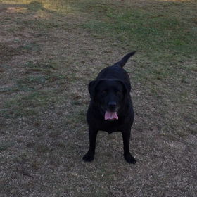 ボール遊びの画像