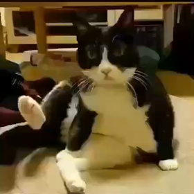 ほっこりの画像