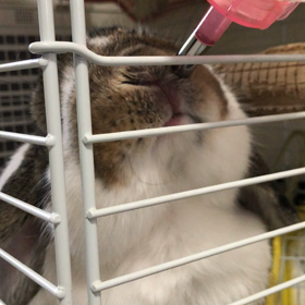 ごくごく②♡。の画像