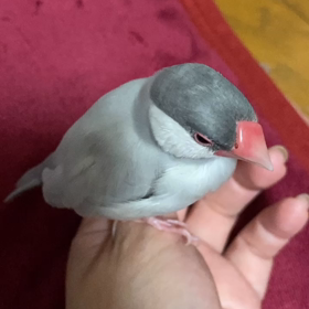 やっぱり猫は神秘の力の持ち主⁉️の画像