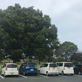 災害だけはの画像