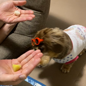 どっちを先に食べますか？♡の画像