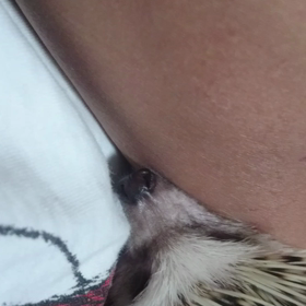 ＃こすずの寝顔＃の画像