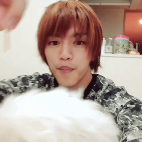 たわむれワンチャンの画像