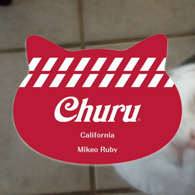 うちの子たちが、ちゅーるCMに！の画像