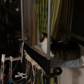 痴呆症気味の母との会話に…！今日のジム活。の画像