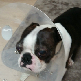 お薬&目薬！！の画像