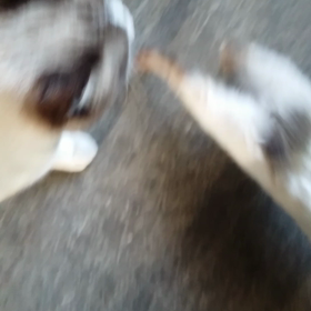 あったかいの画像