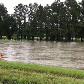 学生ローンの画像