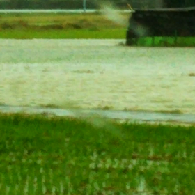 台風21号の画像