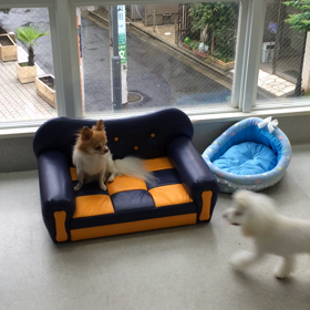 ♪プレイルーム動画♪①の画像