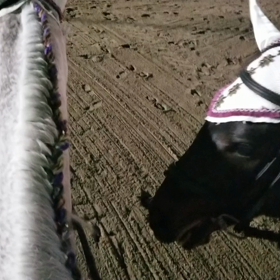 仲良くしたいのに……の画像