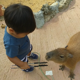 東南植物楽園。の画像