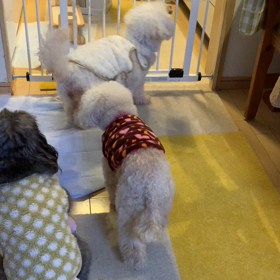 待てない〜の画像