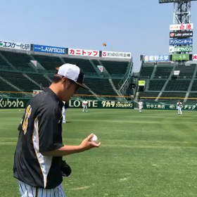 改革らしい･･･。の画像