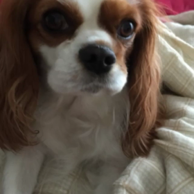 千ちゃんのマネっこしてみた。の画像