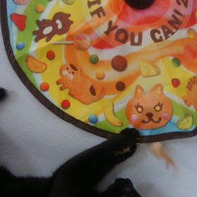 キャッチミーイフユーキャンの画像