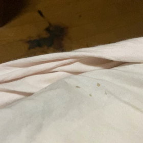 心眼ヤンキー犯罪の画像