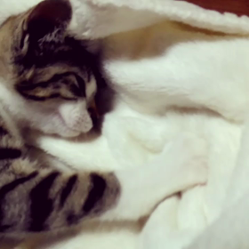 ふみふみ♪の画像