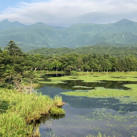 知床五湖 - MOVIE -。の画像