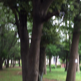 初夏の散歩道に癒されて〜♪の画像