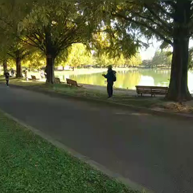 県駅伝女子選考会③の画像