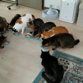 今日は不思議な１日でした☆の画像