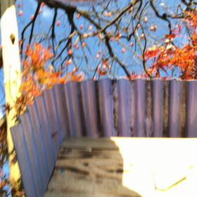 2022/11/19.20.21の画像