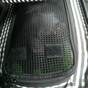 臆病な のあーるの画像