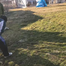 バズ救助犬の画像