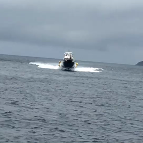 回収～。の画像