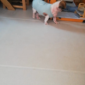 可愛い〜ほたるん♪の画像