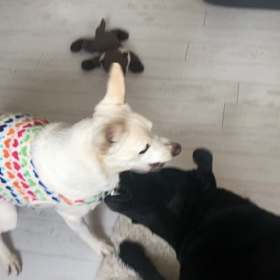 昨日は嵐の画像