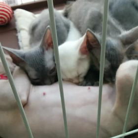 月曜定休日の画像