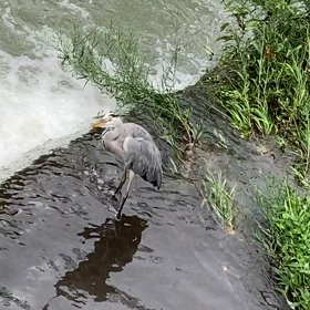 清涼動画の画像