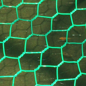 びっくりの画像