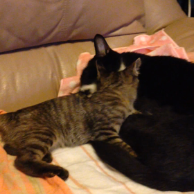 ”弟からもメール添付写真が～”の画像