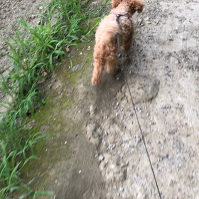 突然の出来事にも冷静沈着に対応の画像