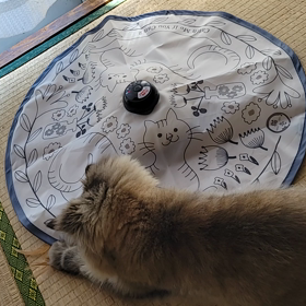 兄さんも地味にハマるの画像
