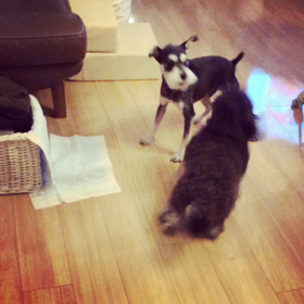 思い出動画の画像