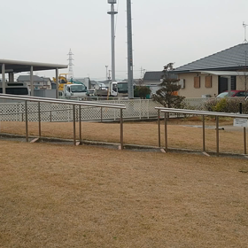 初めて走る動画を撮ってみた。の画像